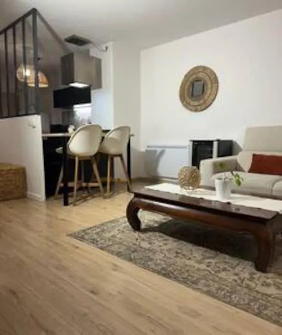 Apartment La Parenthese Neuvilloise Maison Prox Lyon Wifi Fibre Neuville-sur-Saone France
